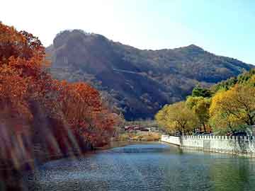 新澳天天开奖资料大全旅游团，隐藏链接